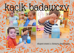 większy obrazek nr 3