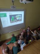 ilustracja do wpisu 
Ball- Baby Beetles- Program Dwujęzyczne Przedszkole