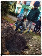większy obrazek nr 5