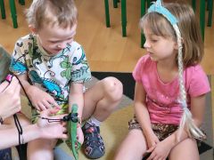 większy obrazek nr 8