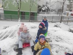 większy obrazek nr 2