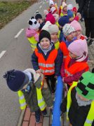większy obrazek nr 1